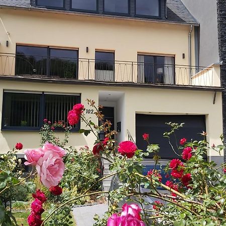 Ferienwohnung "Zum Klosterruinenblick" Kröv Buitenkant foto